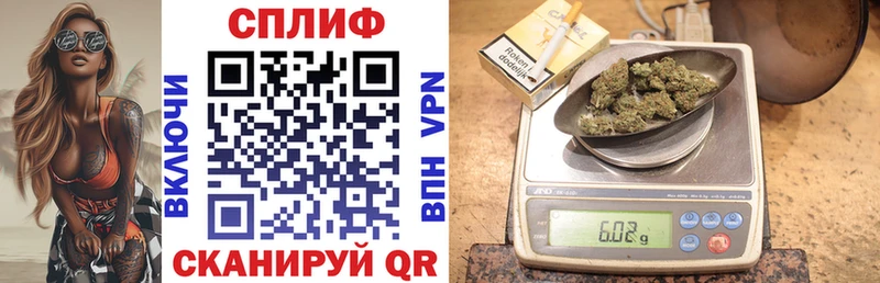 APVP Барнаул